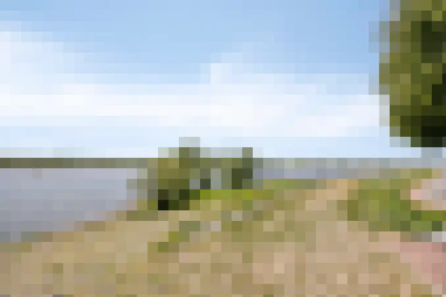 Bogert 17 Haaften thumbnail 54