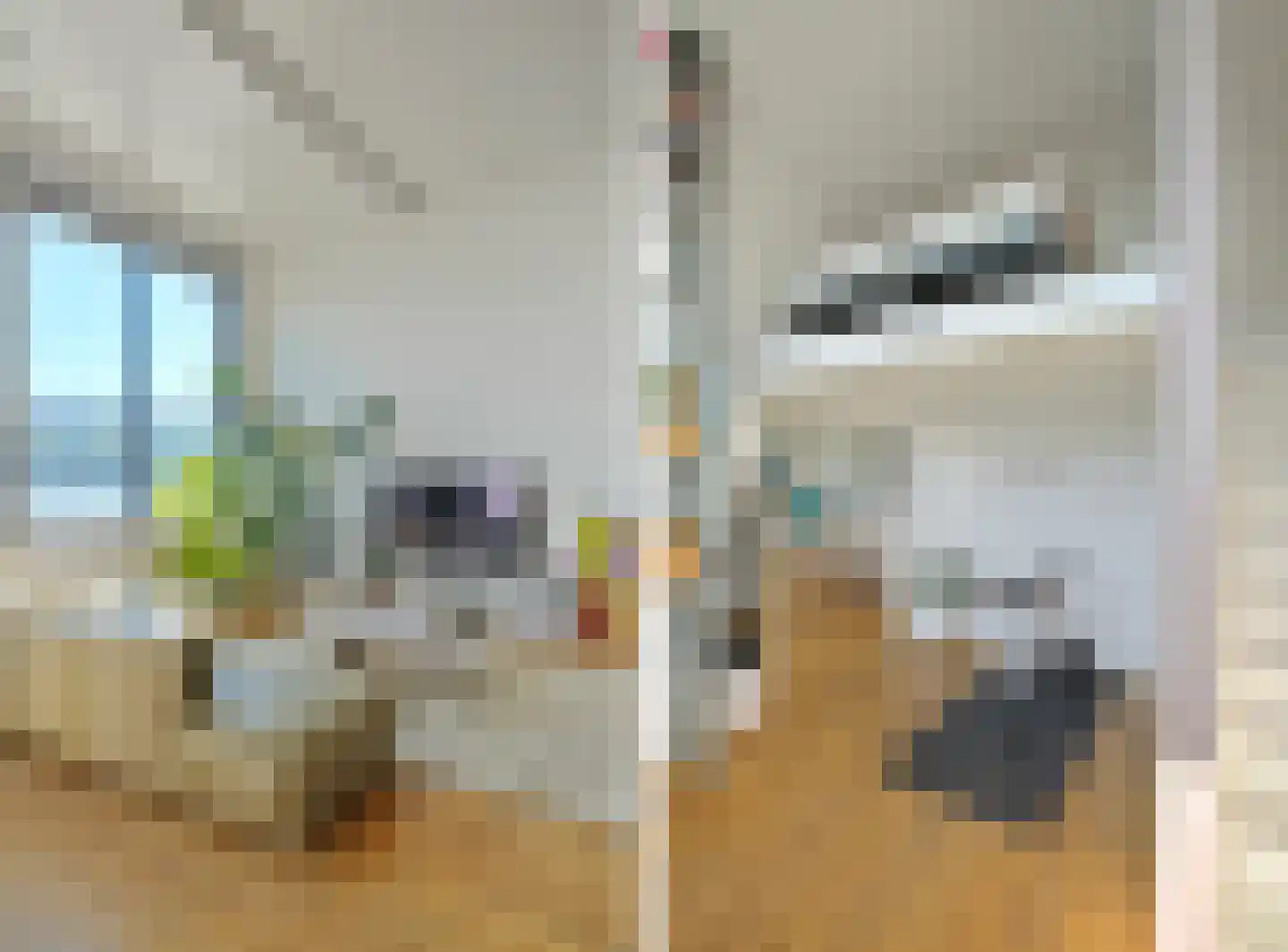 Bogortuin 129 Amsterdam thumbnail 18