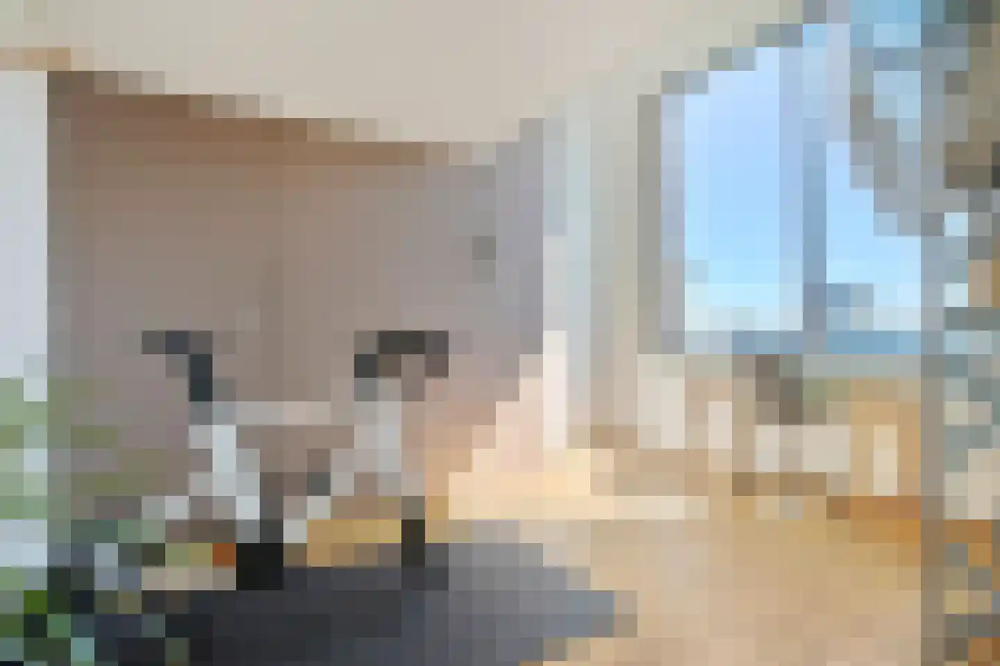 Bogortuin 129 Amsterdam thumbnail 19