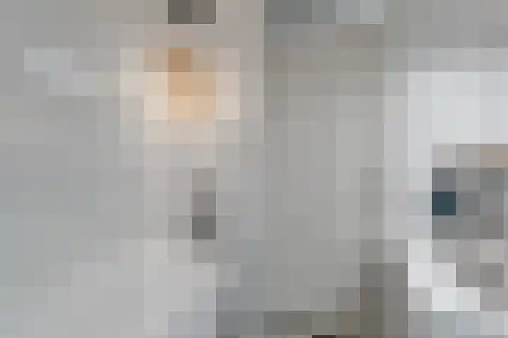 Bogortuin 13 Amsterdam thumbnail 19