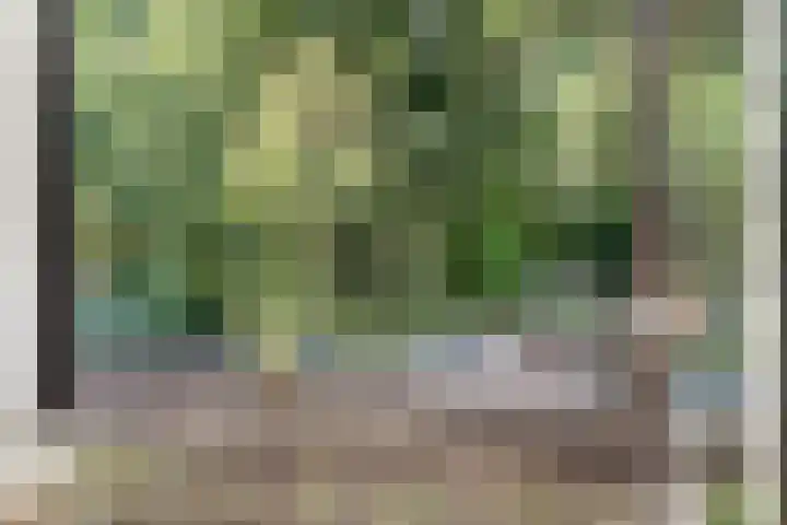 Bogortuin 13 Amsterdam thumbnail 29