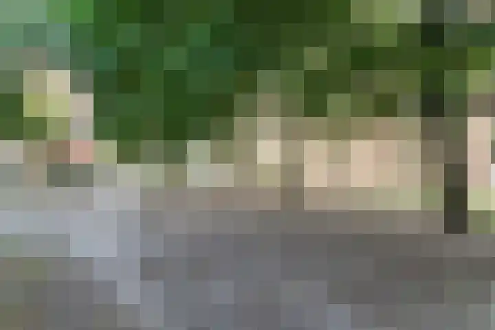 Bogortuin 13 Amsterdam thumbnail 30