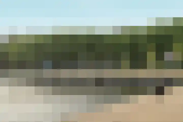 Bogortuin 13 Amsterdam thumbnail 31