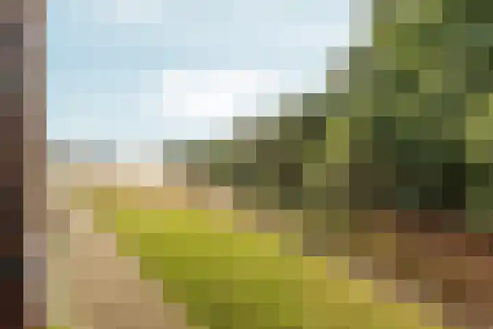 Bogortuin 13 Amsterdam thumbnail 5