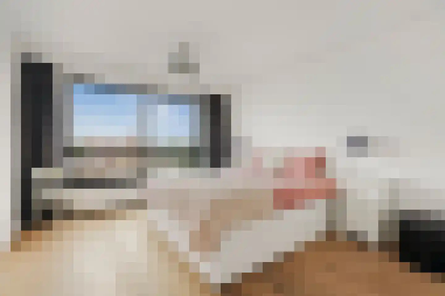 Bogortuin 225 Amsterdam thumbnail 18