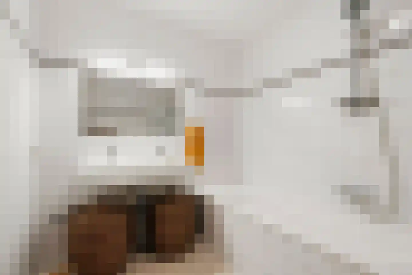 Bogortuin 225 Amsterdam thumbnail 26