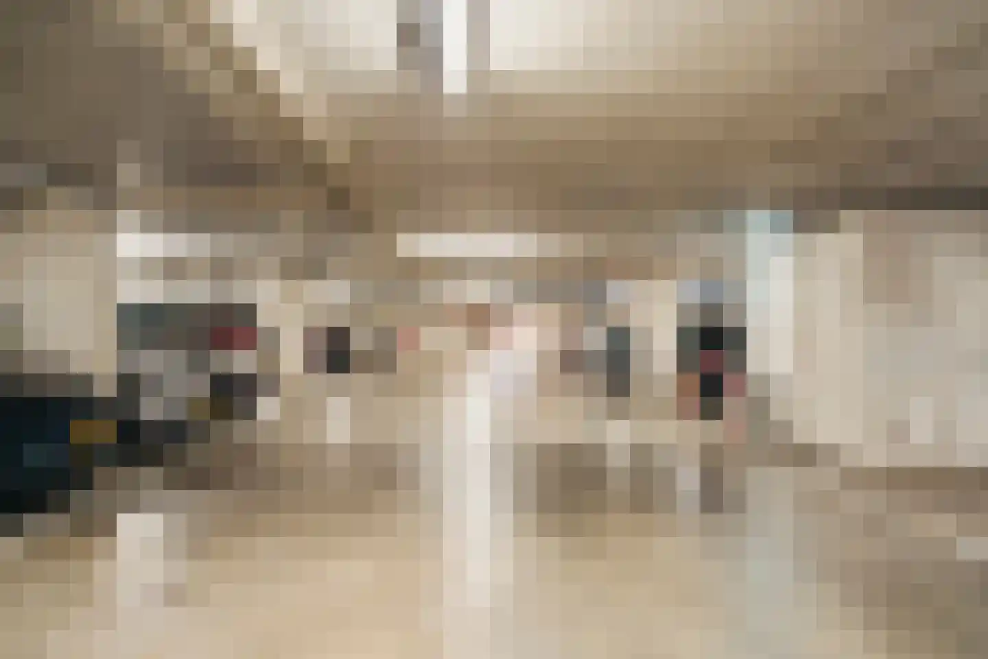 Bogortuin 225 Amsterdam thumbnail 33