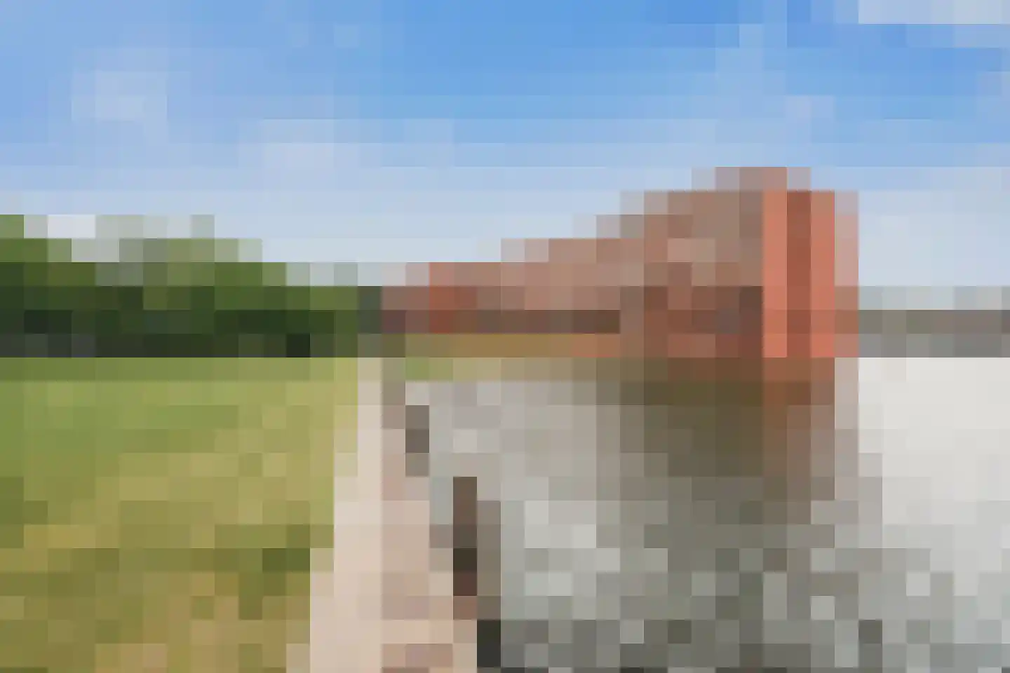 Bogortuin 225 Amsterdam thumbnail 35