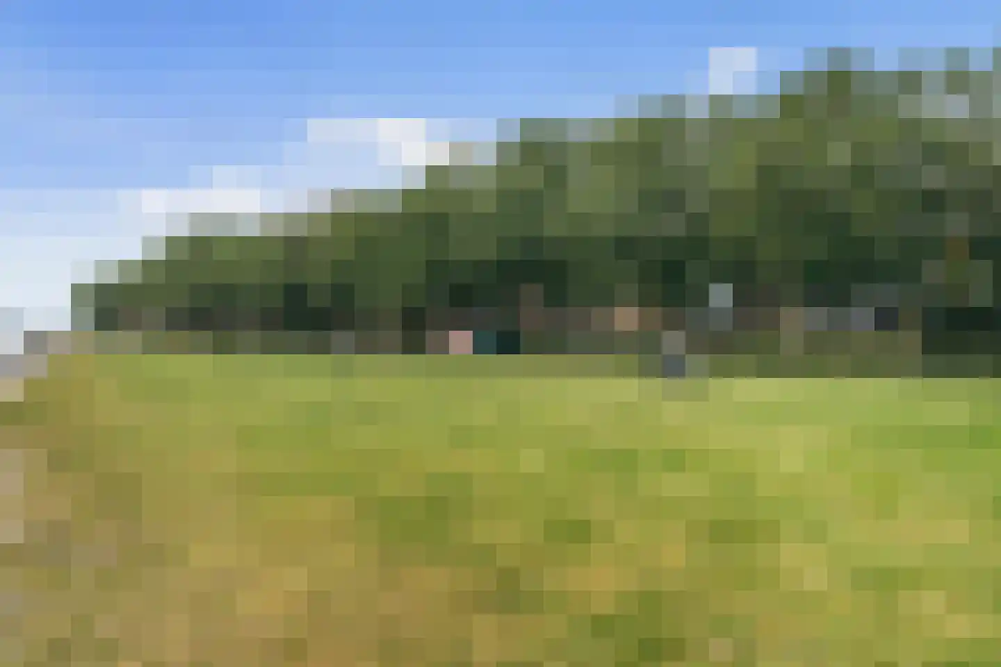Bogortuin 225 Amsterdam thumbnail 37