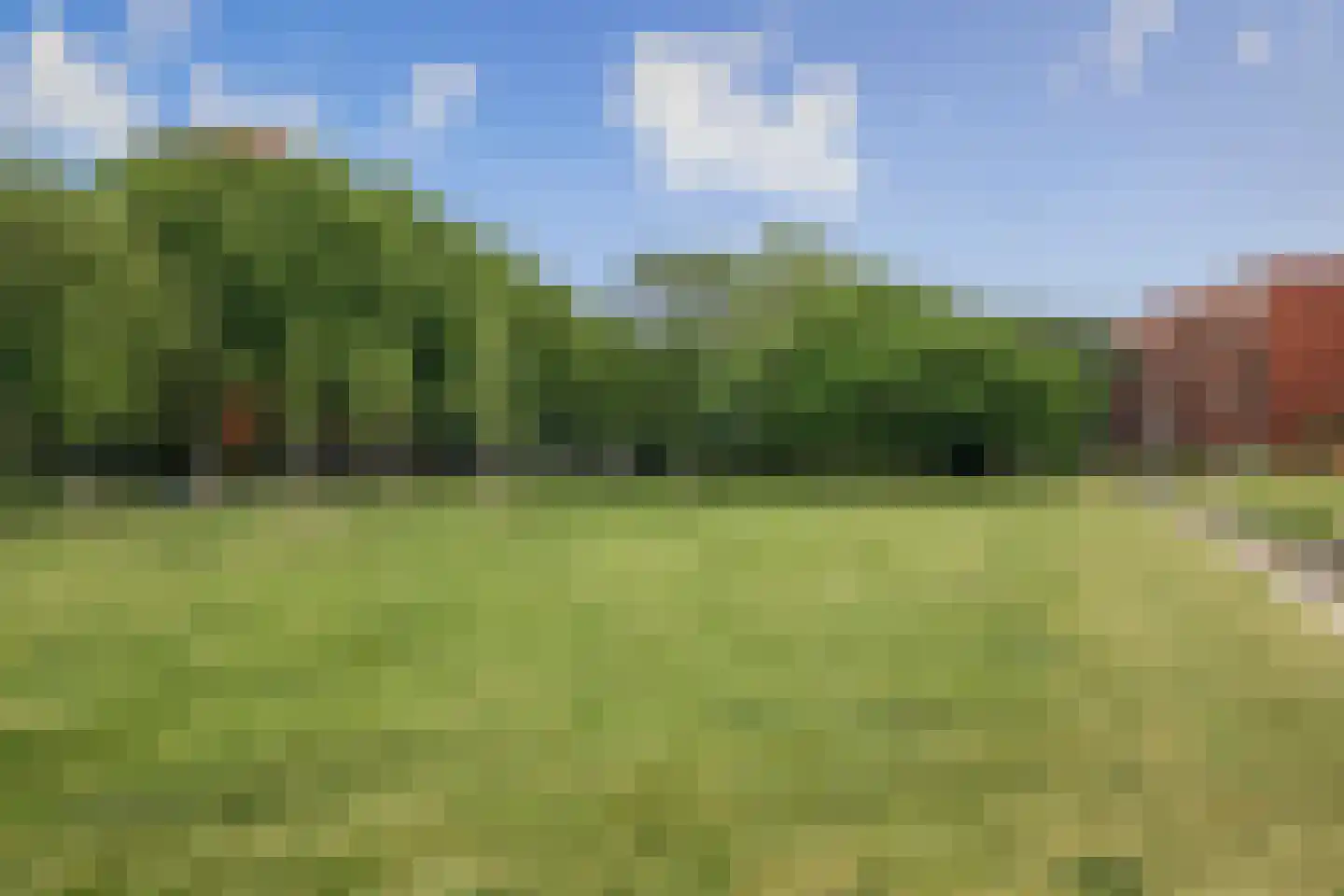Bogortuin 225 Amsterdam thumbnail 38