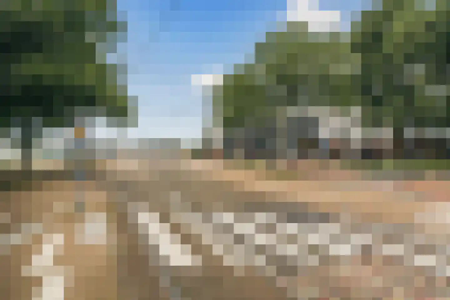 Bogortuin 225 Amsterdam thumbnail 40