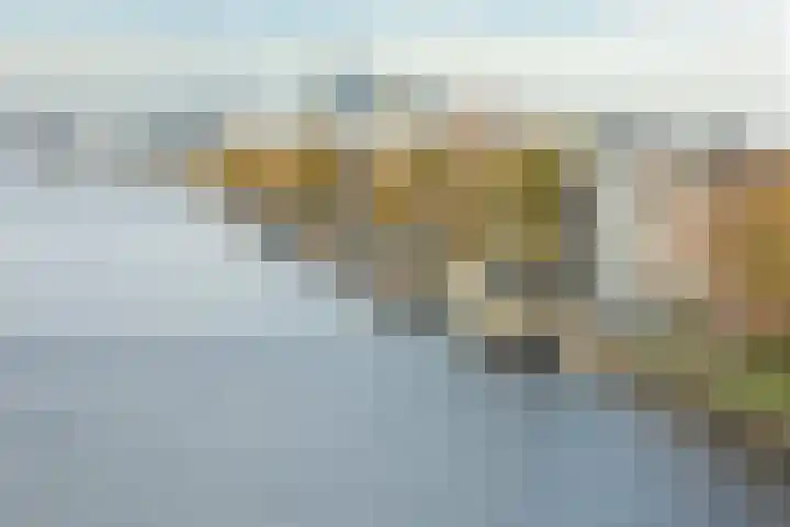 Bogortuin 249 Amsterdam thumbnail 30