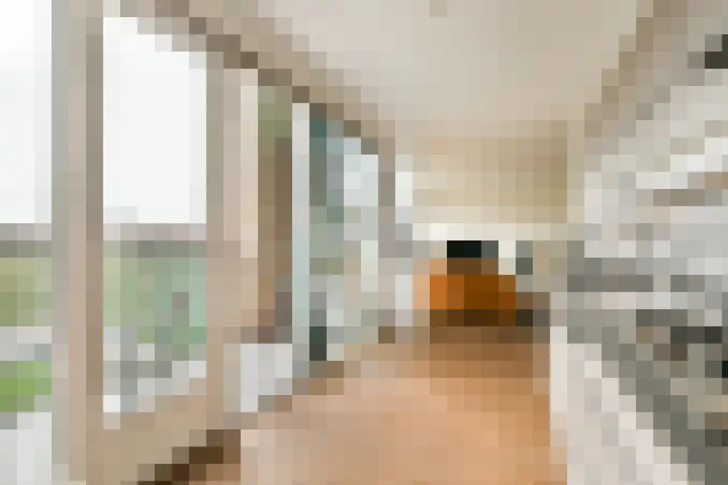 Bogortuin 48 Amsterdam thumbnail 10