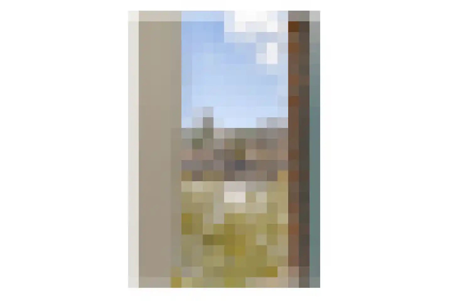 Bogortuin 48 Amsterdam thumbnail 14