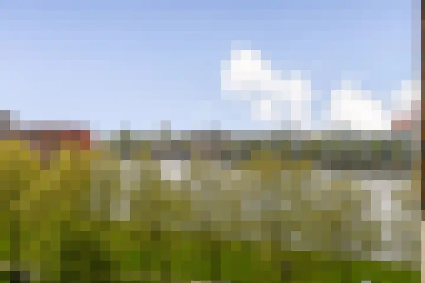 Bogortuin 48 Amsterdam thumbnail 17