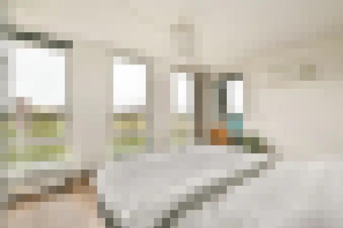 Bogortuin 48 Amsterdam thumbnail 20
