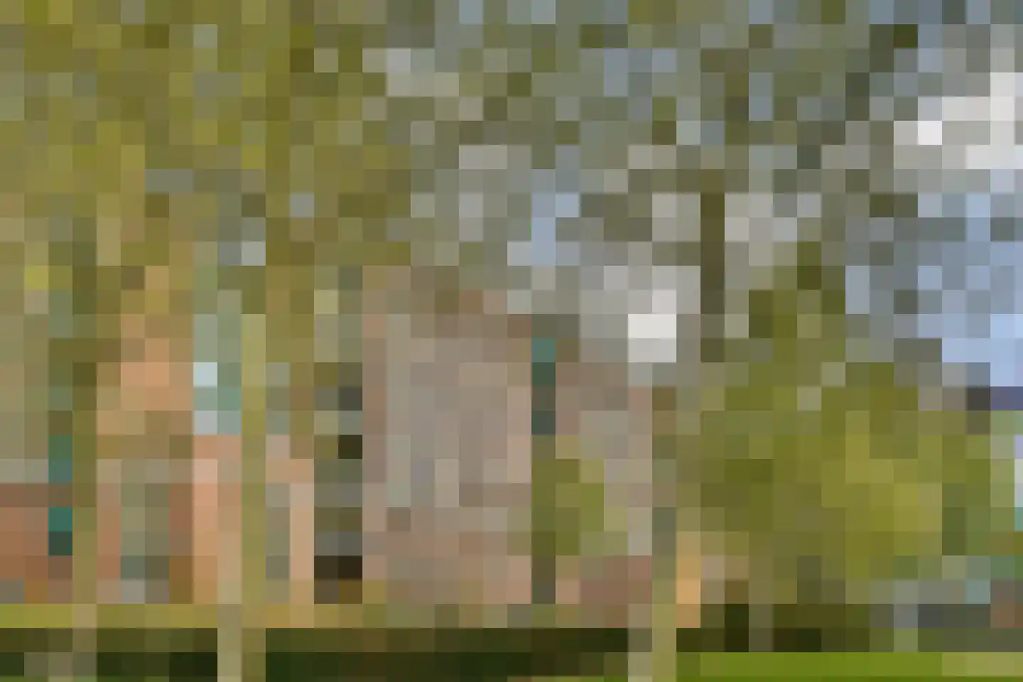Bogortuin 48 Amsterdam thumbnail 30