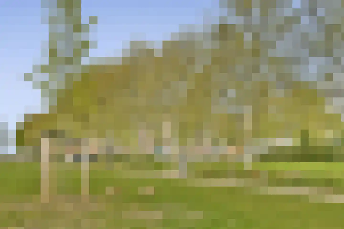 Bogortuin 48 Amsterdam thumbnail 32