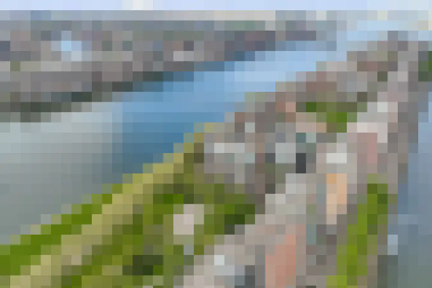 Bogortuin 48 Amsterdam thumbnail 33