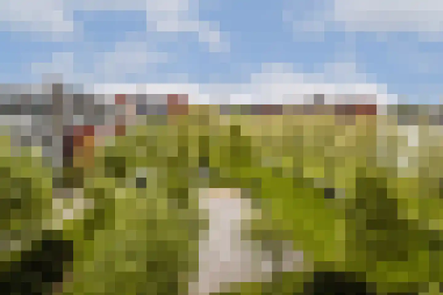Bogortuin 48 Amsterdam thumbnail 39