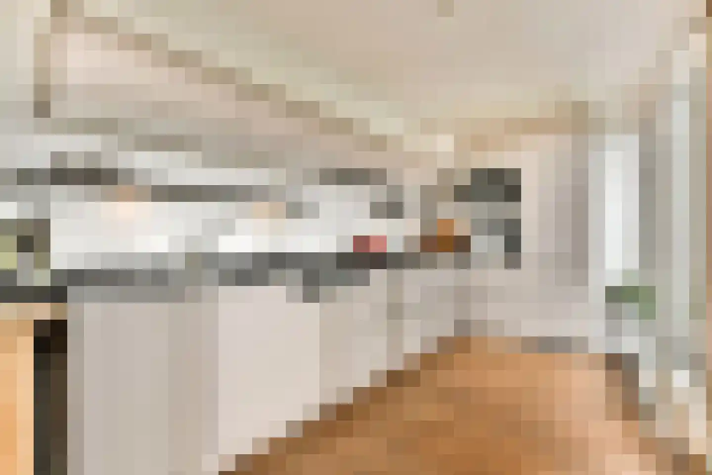Bogortuin 48 Amsterdam thumbnail 4