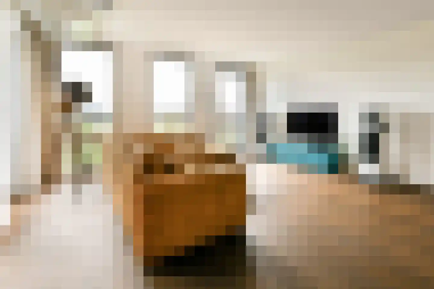 Bogortuin 48 Amsterdam thumbnail 6