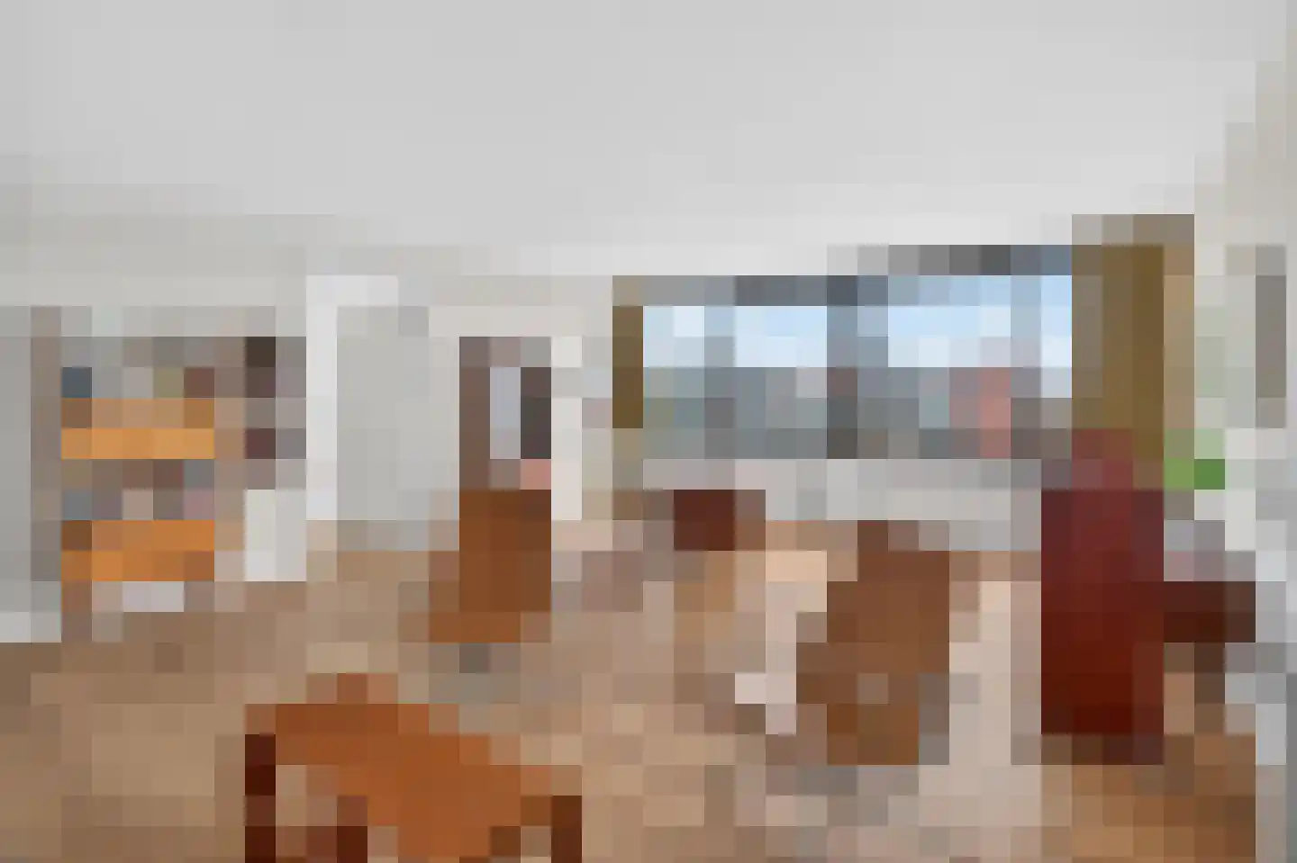 Bogortuin 52 Amsterdam thumbnail 12