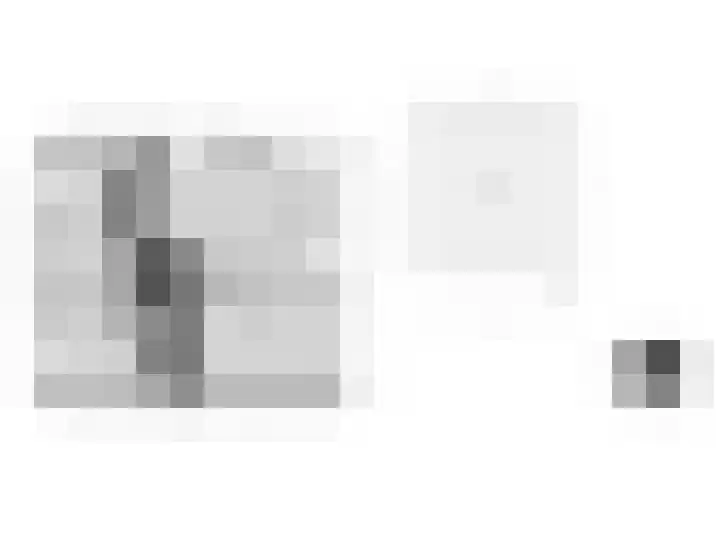 Bogortuin 52 Amsterdam foto 2