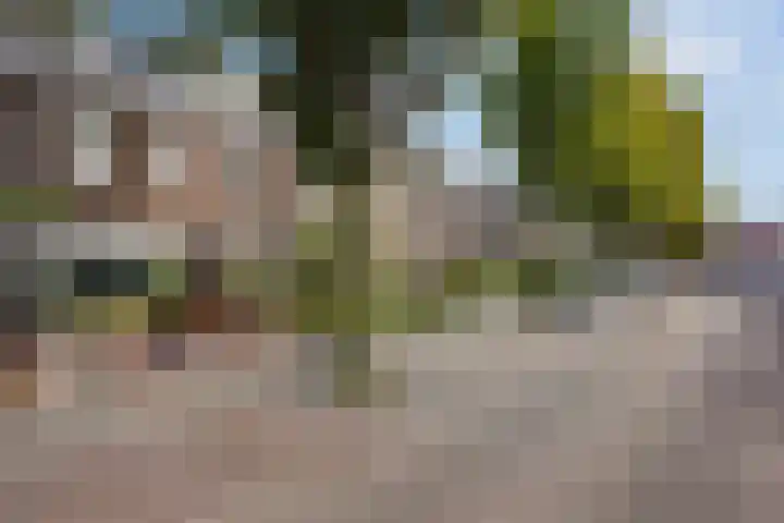 Bogortuin 52 Amsterdam thumbnail 28