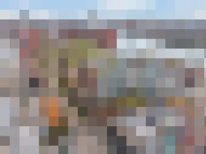 Bogortuin 52 Amsterdam foto 3