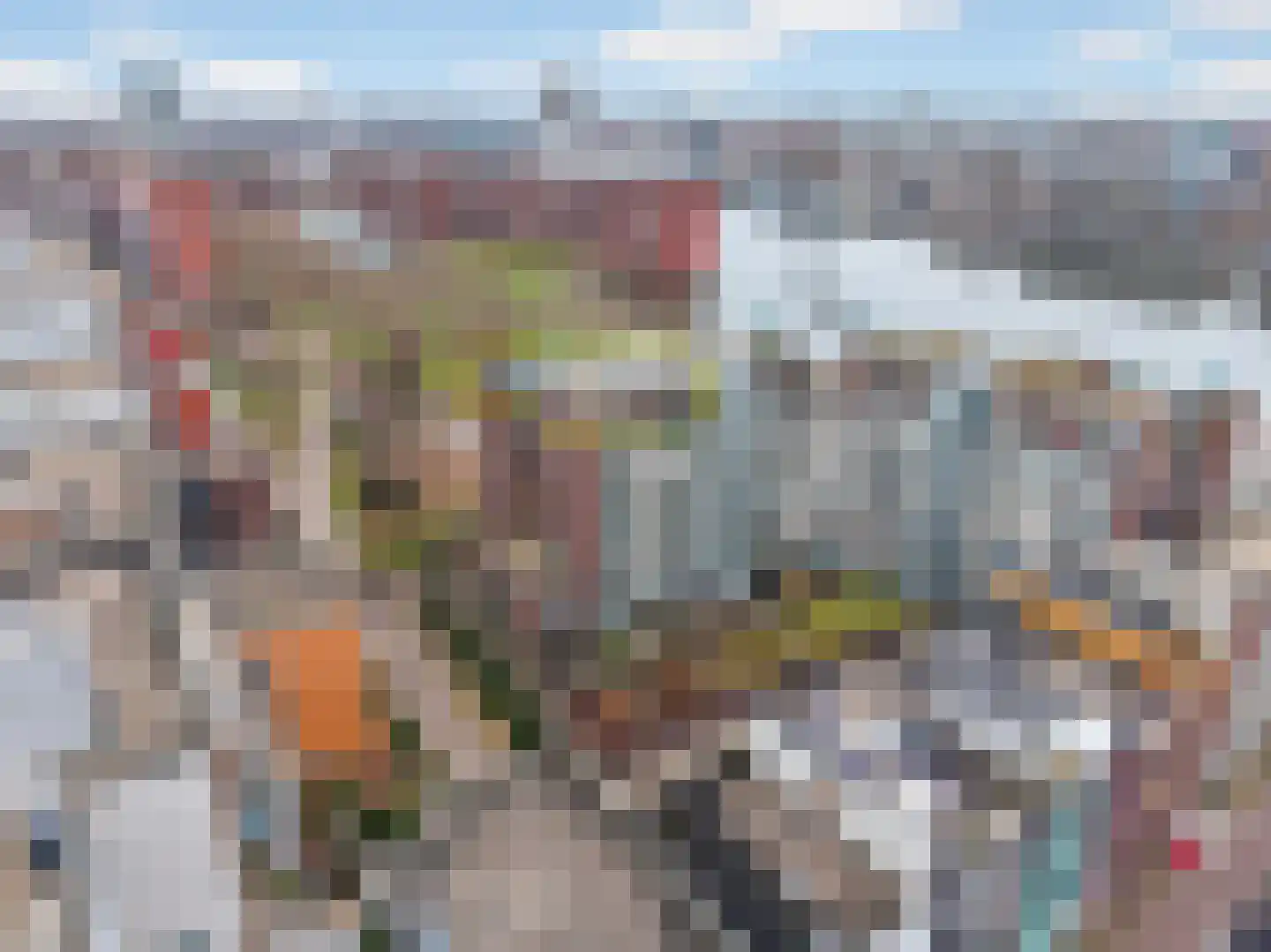Bogortuin 52 Amsterdam foto 3
