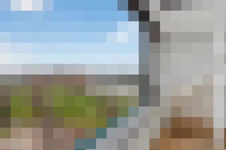 Bogortuin 52 Amsterdam thumbnail 4