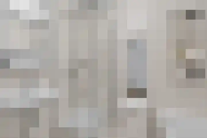 Bogortuin 52 Amsterdam thumbnail 40