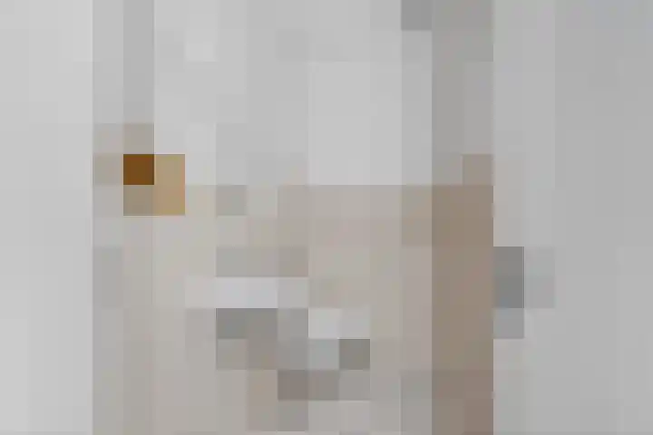 Bogortuin 52 Amsterdam thumbnail 42