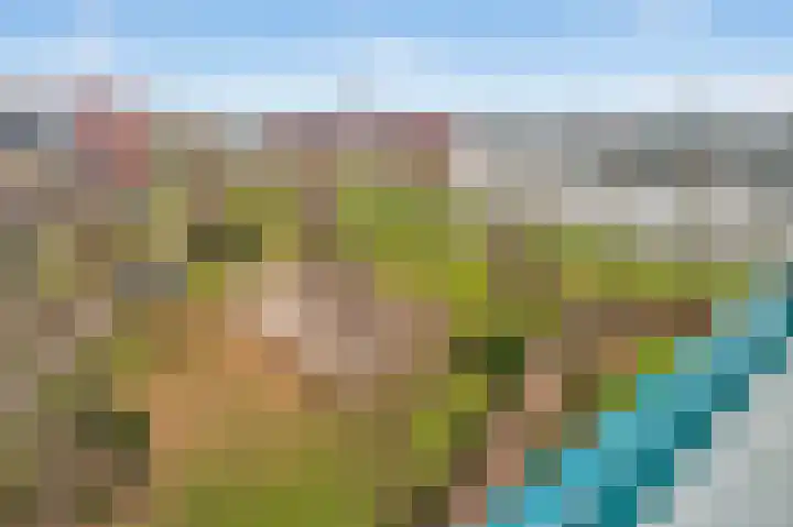 Bogortuin 52 Amsterdam thumbnail 49