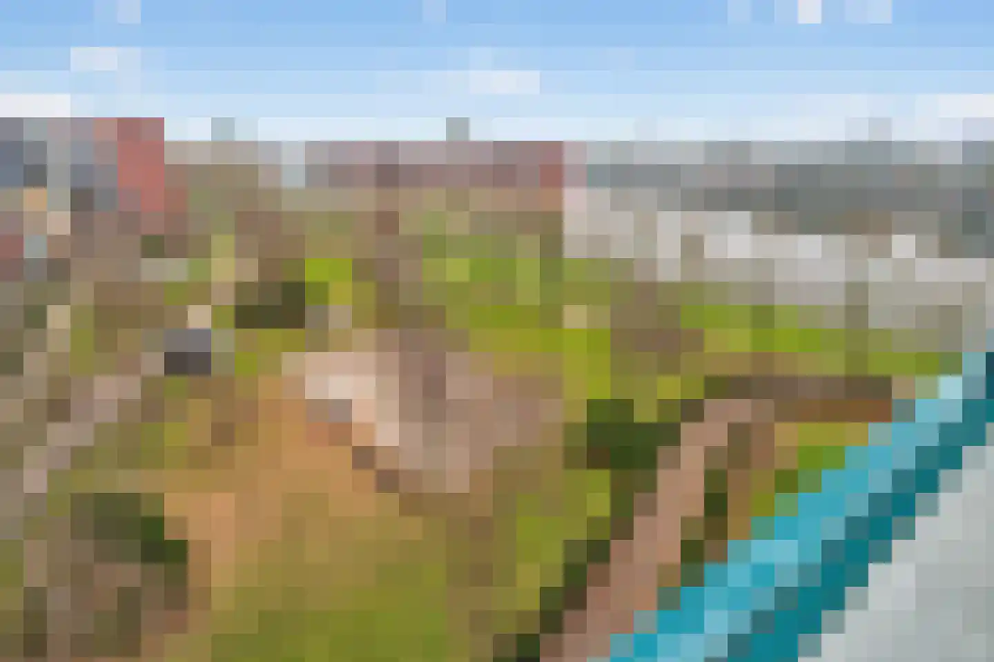 Bogortuin 52 Amsterdam thumbnail 49