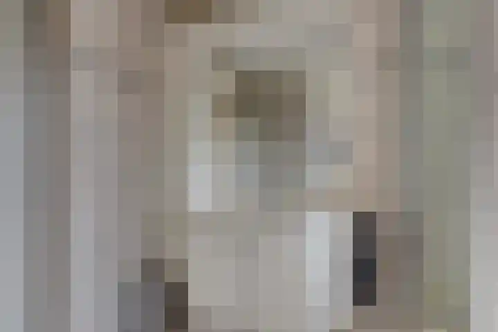 Bogortuin 52 Amsterdam thumbnail 5