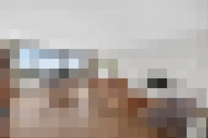 Bogortuin 52 Amsterdam thumbnail 6