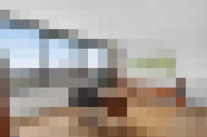 Bogortuin 52 Amsterdam thumbnail 8