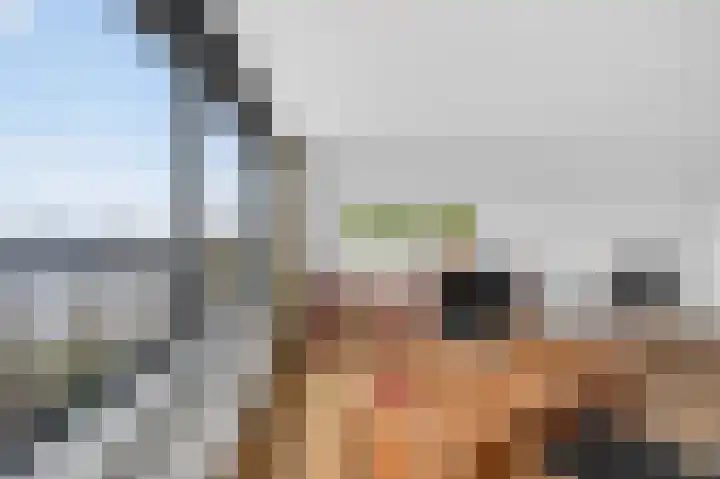 Bogortuin 52 Amsterdam thumbnail 9