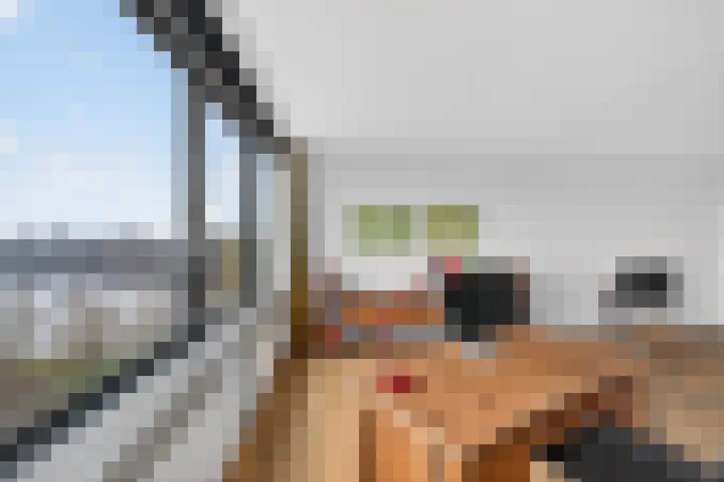 Bogortuin 52 Amsterdam thumbnail 9
