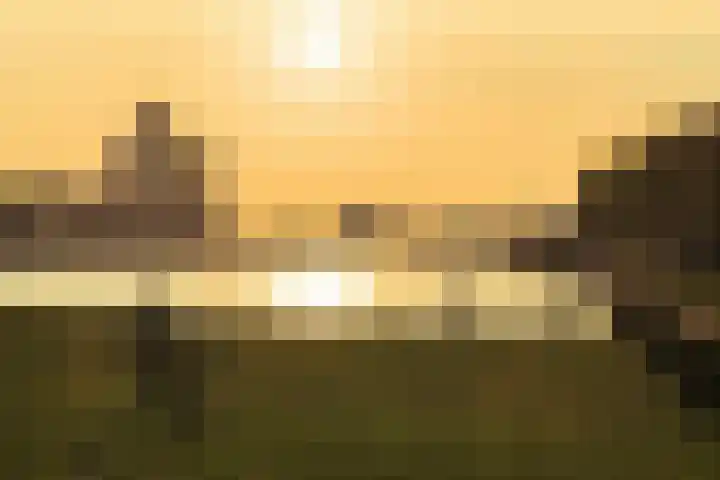 Bogortuin 55 Amsterdam thumbnail 58