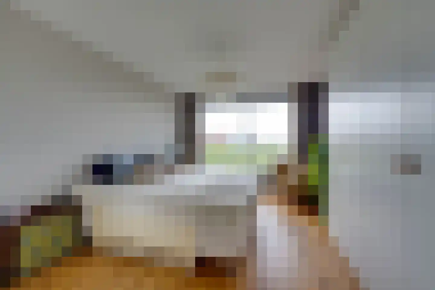 Bogortuin 63 Amsterdam thumbnail 25