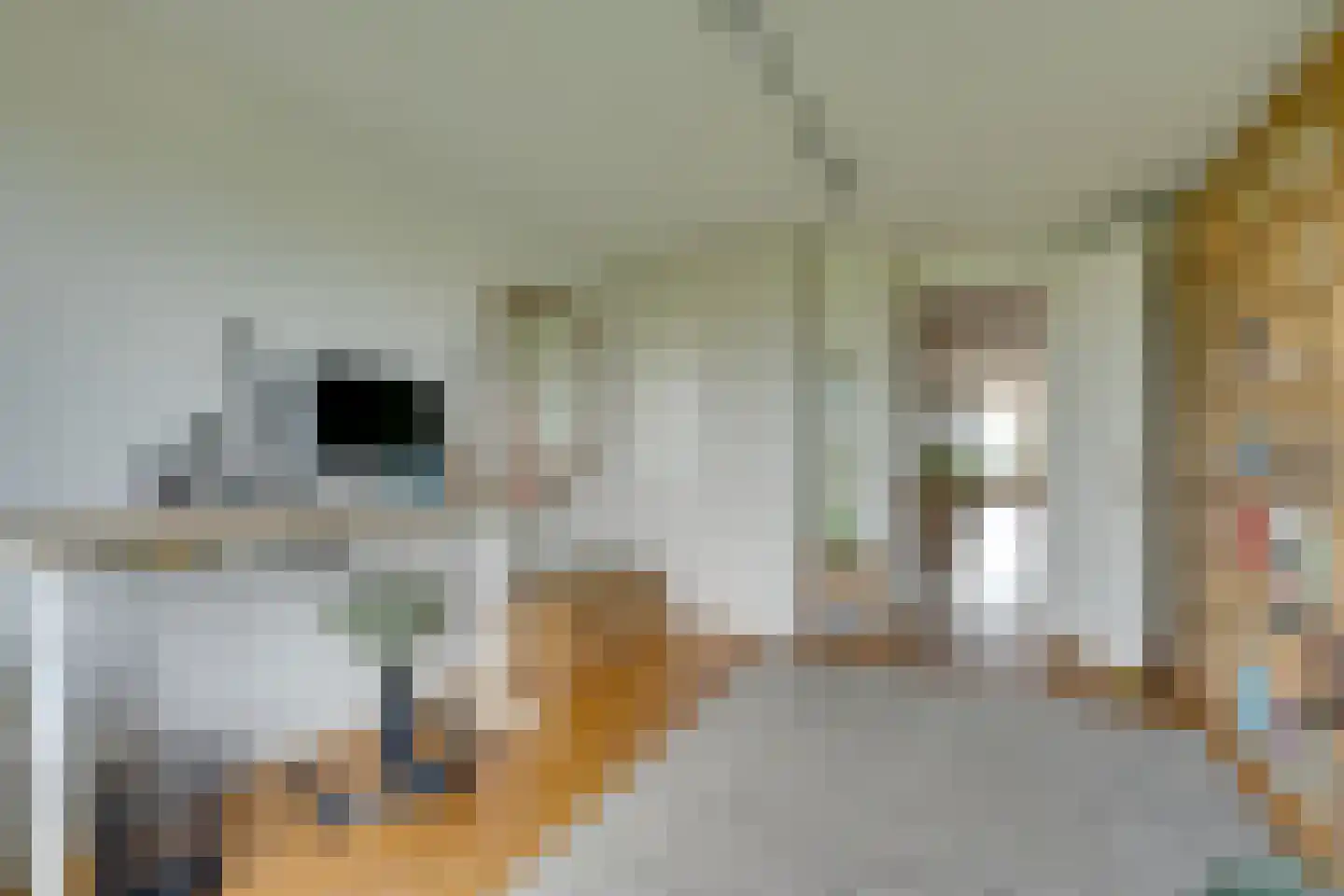 Bogortuin 63 Amsterdam thumbnail 32