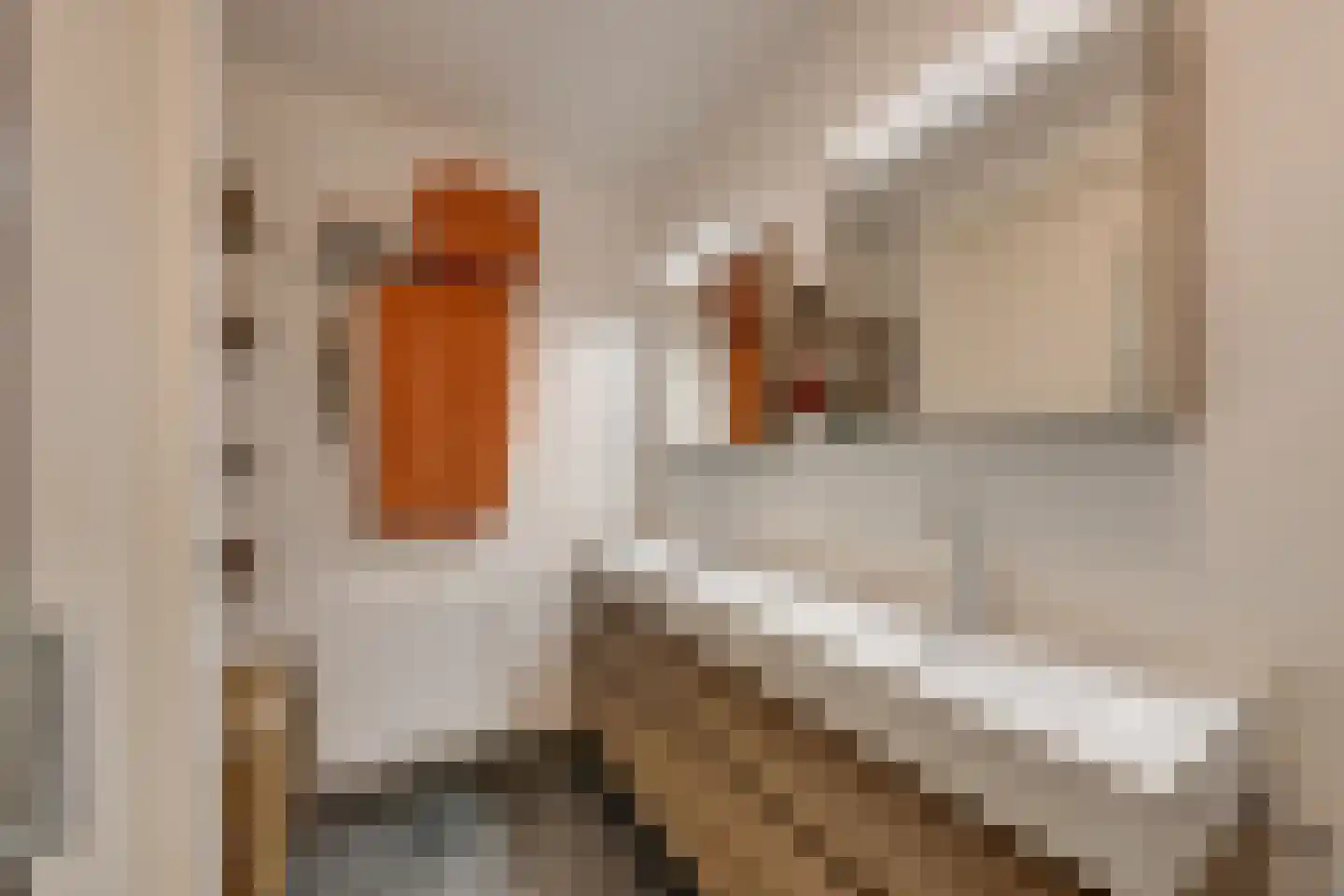 Bogortuin 63 Amsterdam thumbnail 35