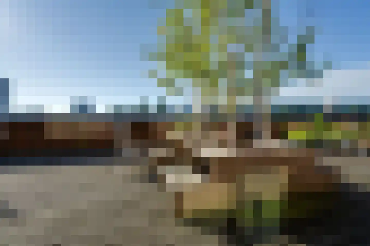 Bogortuin 63 Amsterdam thumbnail 41