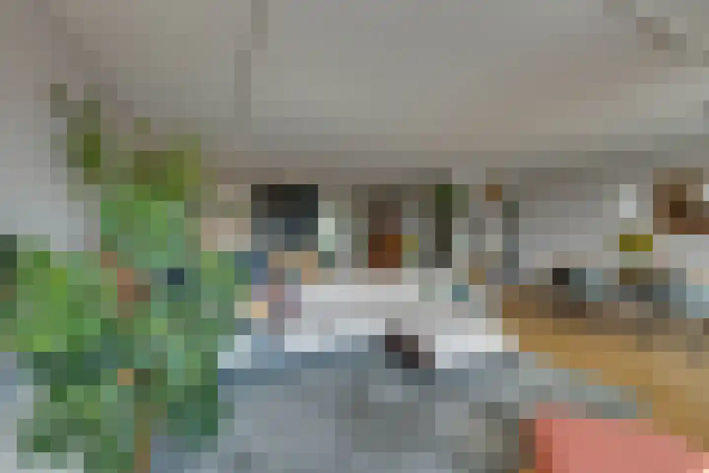 Bogortuin 63 Amsterdam thumbnail 9