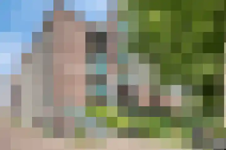 Bogortuin 74 Amsterdam