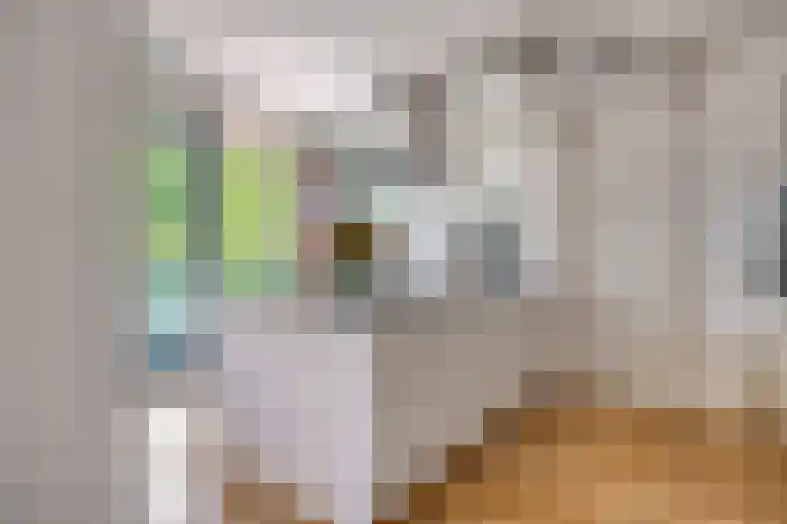 Bogortuin 74 Amsterdam thumbnail 14