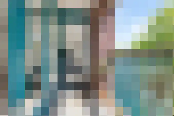 Bogortuin 74 Amsterdam thumbnail 22